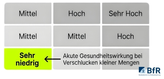 Gefahreneinstufung Borsäure in Slimes